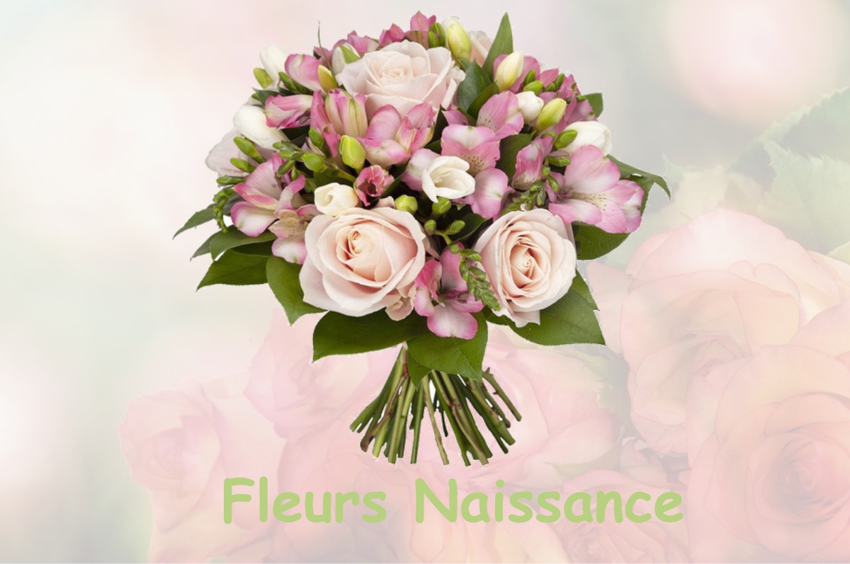 fleurs naissance POYANNE