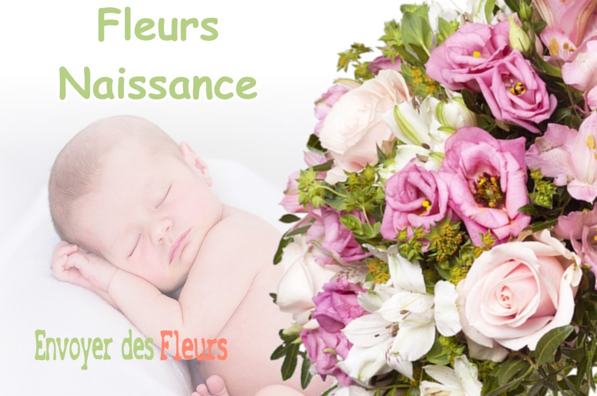 lIVRAISON FLEURS NAISSANCE à POYANNE